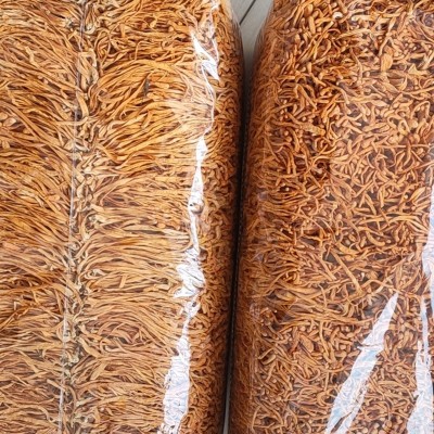 食用新鲜冬夏孢子头虫草营养粥食材 批发煲汤食材1公斤干货虫草花图3