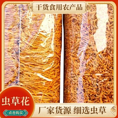食用新鲜冬夏孢子头虫草营养粥食材 批发煲汤食材1公斤干货虫草花图1