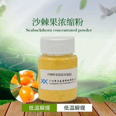 乡本乡草 沙棘维生素王E/A水果药食同源全成分提取沙棘粉植物饮料