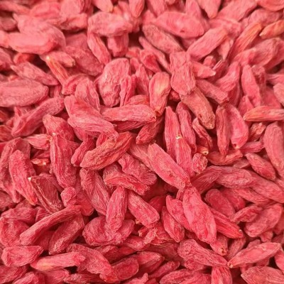 热卖枸杞子批发散货 零售头茬特优大粒红枸杞茶500g袋装 一件代发