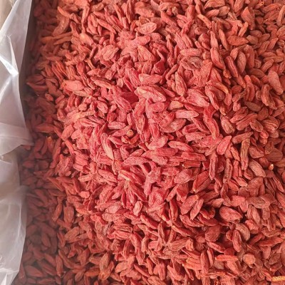 热卖枸杞子批发散货 零售头茬特优大粒红枸杞茶500g袋装 一件代发图2