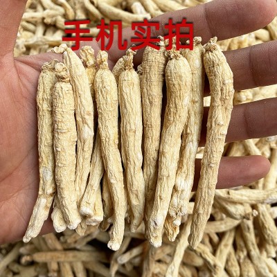 长白山人参批发吉林整枝白参棒足干无须人参免费磨粉散装人参白参图2