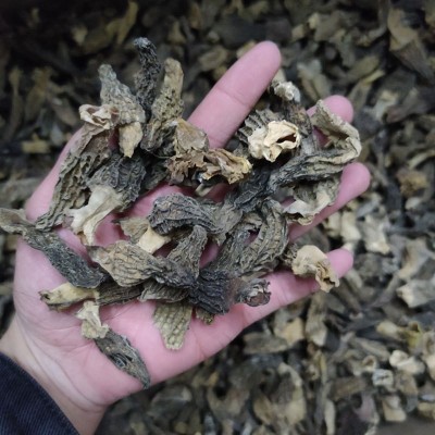 羊肚菌菌菇干货菌汤包料中期3-5cm 统货批发代发一手货源大量现货图4