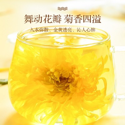 昶健富硒金丝皇菊罐装茶一朵一杯大朵菊花茶礼盒装厂家批发图4
