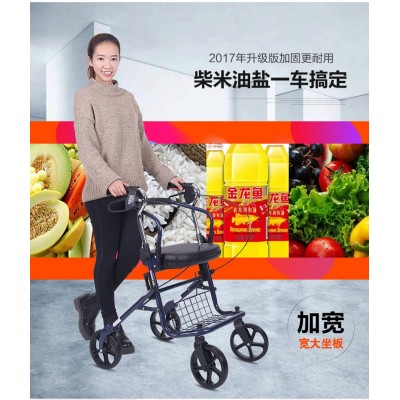 埃立娇009B老年购物车老人手推车购物车代步老年人助行器助步车图3