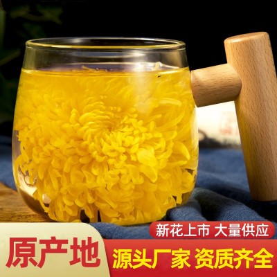 菊花茶金丝皇菊一朵一杯江西修水大黄菊花贡菊小袋散装批发