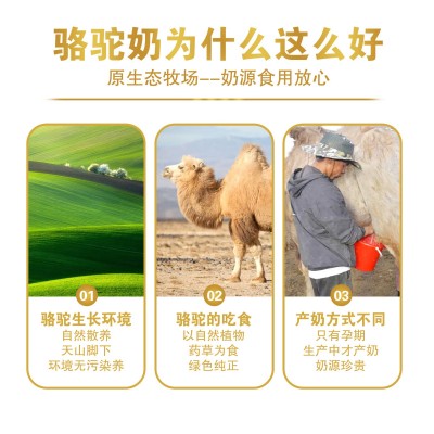 源头工厂特力雅益生菌驼奶粉中老年成人骆驼奶运动健身蛋白粉OEM图5