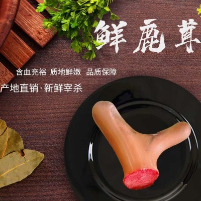 厂家批发直销整枝称重销售鹿特产 鲜鹿茸 诚招淘宝代理经销商热销
