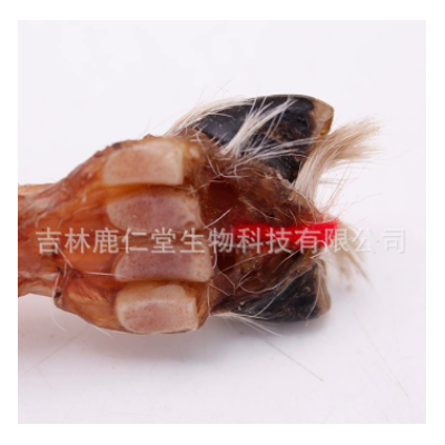 【吉林正常发货】鹿筋 吉林梅花鹿蹄筋 带蹄腿筋 长龙鹿业 鹿场直图3
