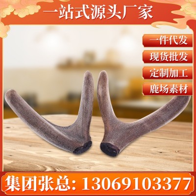鹿茸 吉林梅花鹿茸二杠整支 长龙鹿业鹿场批发 一件代发 泡酒泡汤