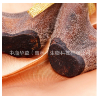 鹿茸 吉林梅花鹿茸二杠整支 长龙鹿业鹿场批发 一件代发 泡酒泡汤图3