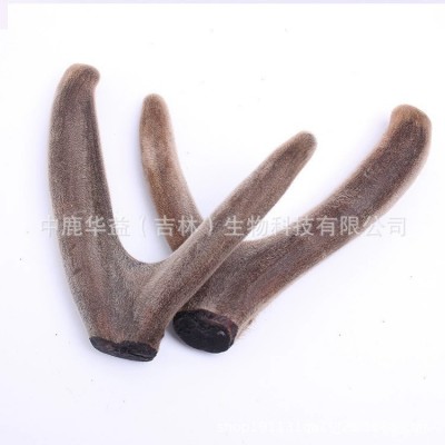 鹿茸 吉林梅花鹿茸二杠整支 长龙鹿业鹿场批发 一件代发 泡酒泡汤图5