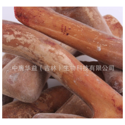 新鲜鹿茸 吉林梅花鹿茸二杠整支 长龙鹿场批发 一件代发 泡酒泡汤图4