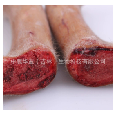新鲜鹿茸 吉林梅花鹿茸二杠整支 长龙鹿场批发 一件代发 泡酒泡汤图3