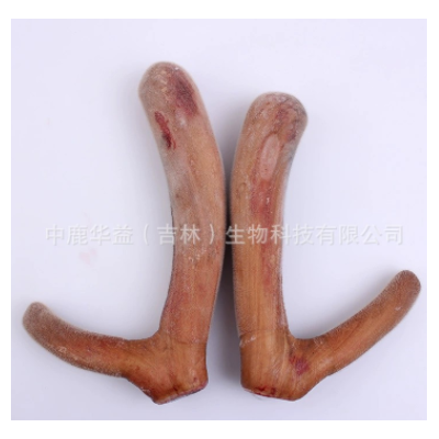 新鲜鹿茸 吉林梅花鹿茸二杠整支 长龙鹿场批发 一件代发 泡酒泡汤图5