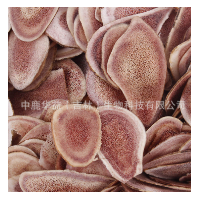 鹿角片 马鹿茸副角片 长龙鹿业厂家批发 一件代发 泡酒煲汤料图2