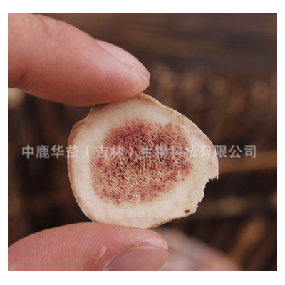 鹿角片 马鹿茸副角片 长龙鹿业厂家批发 一件代发 泡酒煲汤料图3