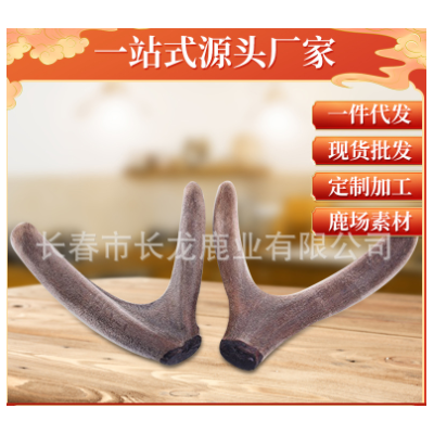 鹿茸 吉林梅花鹿茸二杠整支 长龙鹿业鹿场批发 一件代发 泡酒泡汤