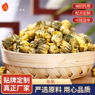 胎草堂胎菊花茶 罐装菊花骨朵干花泡茶花果茶胎菊花茶 厂家批发