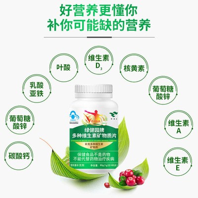 绿健园多种B族维生素片 营养素补充剂复合矿物质片含叶酸正品促销