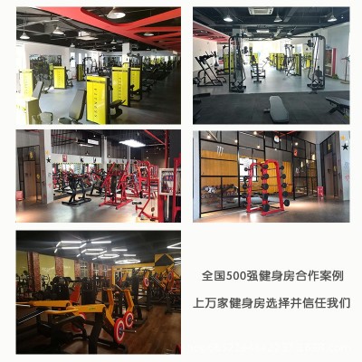 【健身器材厂家直供】健身房私教室 罗马椅可调节罗马椅 外贸货源图3