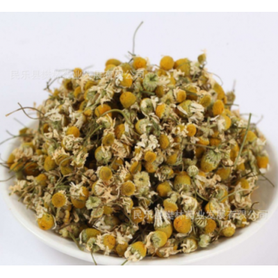 洋甘菊花果茶批发罗马洋甘菊茶德国洋甘菊 500克起批菊花茶图1
