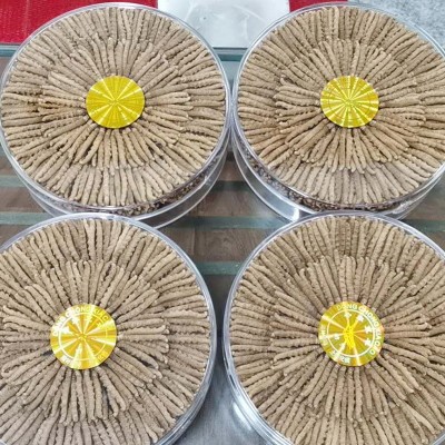 西藏那曲冬虫夏草冻干虫草1200条高海拔虫草批发代发足干无断虫草图3