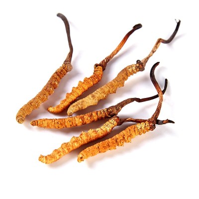 西藏那曲虫草 新鲜冬虫草 冬虫夏草可食用 新货虫草礼盒装批发图5
