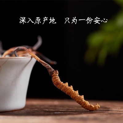 西藏那曲虫草 新鲜冬虫草 冬虫夏草可食用 新货虫草礼盒装批发图4