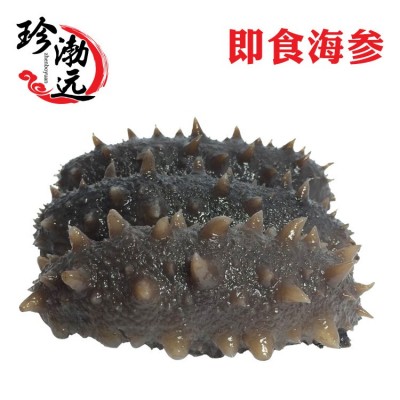 大连海参高压即食海参劲道好口感辽刺参8-15头/500g一件代发货
