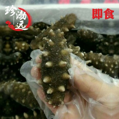 大连即食海参批发好口感7-8头/500g 大连源产地辽刺参