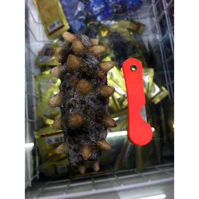 大连即食海参批发好口感7-8头/500g 大连源产地辽刺参图2