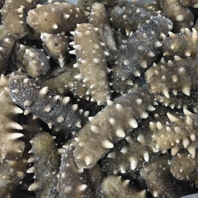 大连即食海参批发好口感7-8头/500g 大连源产地辽刺参图4