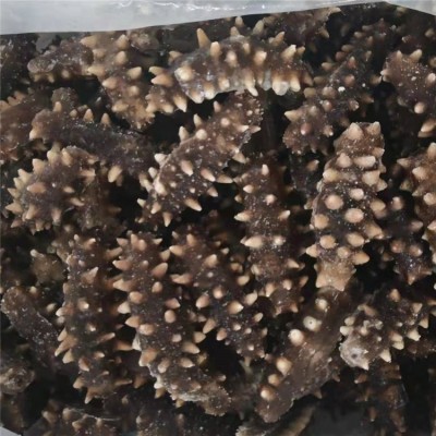 大连即食海参批发好口感7-8头/500g 大连源产地辽刺参图3