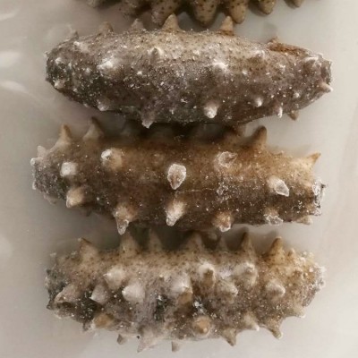 批发大连生发即食海参口感劲道有嚼劲6-15头/500g凉菜食材代发货图4