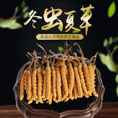 批发供应优质虫草 冬虫夏草 西藏那曲冬虫夏草干货4根一克精品图3