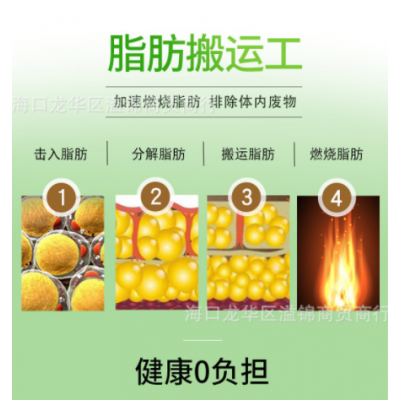 蓝帽 减 肥瘦 身燃 脂控制食欲升级版饱腹左旋肉碱茶荷叶多酚胶囊图4