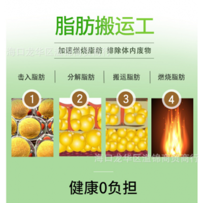 保健食品压片糖果 减 肥胶囊饱腹感控制食欲饮食左旋肉碱荷叶胶囊图4