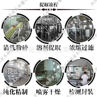 山楂黄酮80% 山楂叶提取物 山楂粉 山楂提取物 量大从优 包邮图3