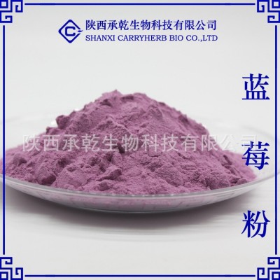 蓝莓粉 99% 蓝莓汁粉 蓝莓果粉 蓝莓提取物 口感好 现货包邮