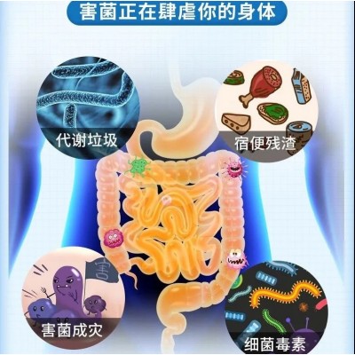 益生菌南京同仁堂 益生菌冻干粉 益生元肠道益生菌 益生菌批发图4