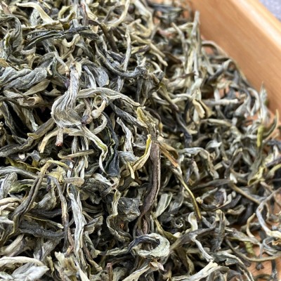 【欧盟有机绿茶】出口银毫毛峰绿茶广西白毫茶树高香绿茶散装图3