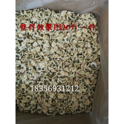 白菊花500克批发黄山贡菊散装七月菊花草茶安徽新花上市厂家直销图5