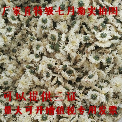 白菊花500克批发黄山贡菊散装七月菊花草茶安徽新花上市厂家直销图4