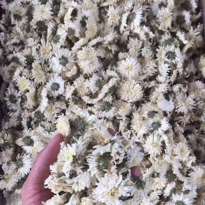 菊花茶七月菊黄山白菊贡菊 优等杭级白菊干花胎菊黄山菊花茶散装图3