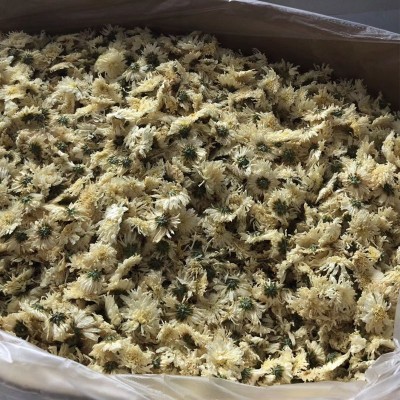 菊花茶七月菊黄山白菊贡菊 优等杭级白菊干花胎菊黄山菊花茶散装图5