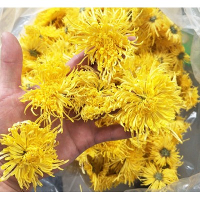 2021新花金丝皇菊徽州皇菊菊花茶 花果茶一朵一杯礼盒图2