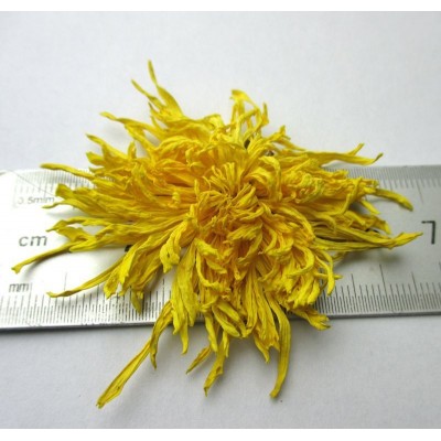 2021新花金丝皇菊徽州皇菊菊花茶 花果茶一朵一杯礼盒图4