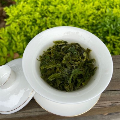 绿茶2022新茶 春茶 绿茶 碧螺春 高山云雾绿茶 香茶散茶低价批发图3