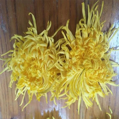 基地供应菊花金丝皇菊散装黄菊花修水大朵菊 婺源黄菊花茶批发图3